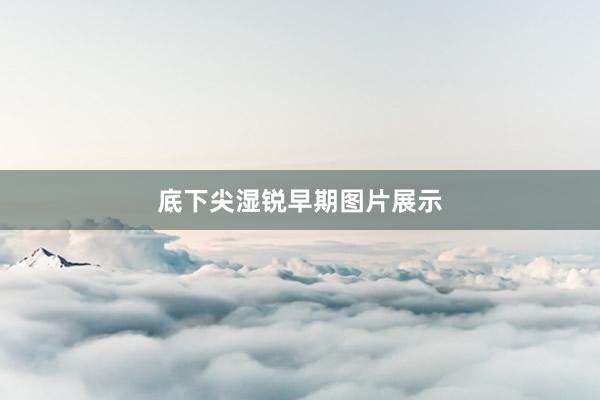 底下尖湿锐早期图片展示