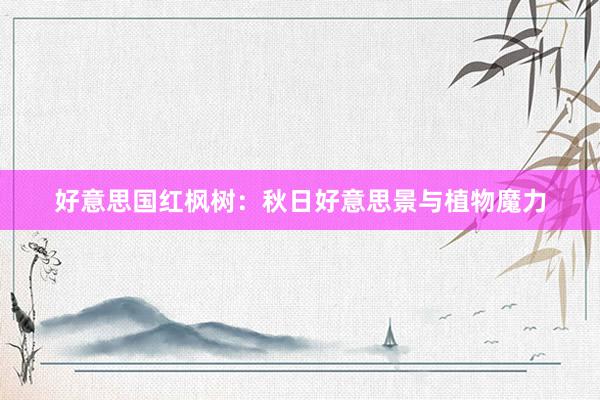 好意思国红枫树：秋日好意思景与植物魔力